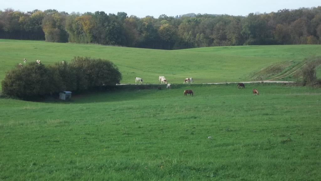 Gite Du Colombier Le Fied Exterior photo